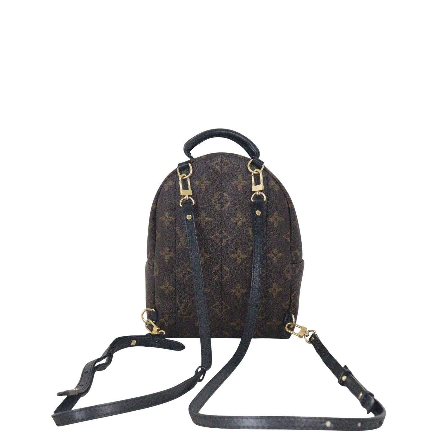 Louis Vuitton Palm Springs Mini Backpack Monogram
