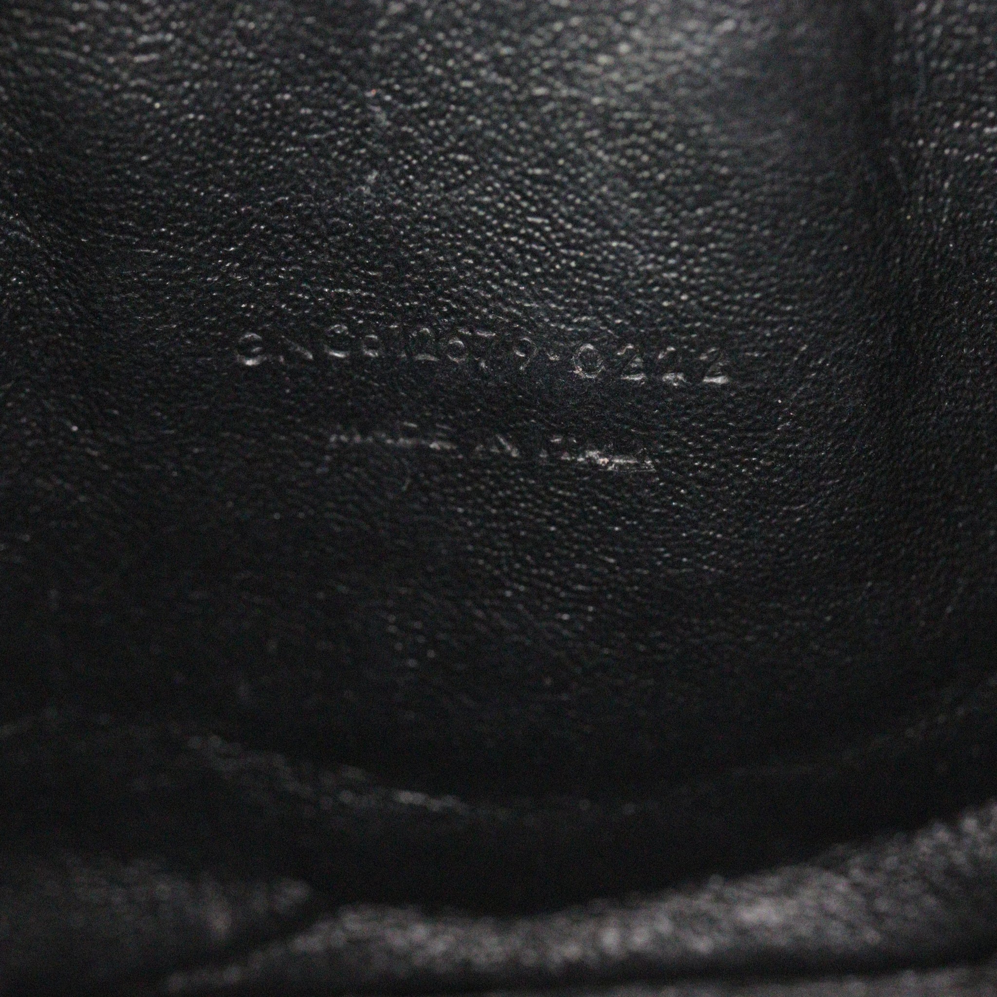 Saint Laurent Lou Mini Camera Bag