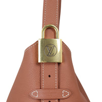 Louis Vuitton Low Key Hobo PM
