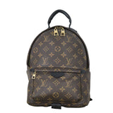 Louis Vuitton Palm Springs Backpack PM Monogram
