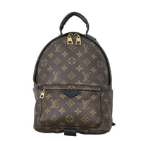 Louis Vuitton Palm Springs Backpack PM Monogram