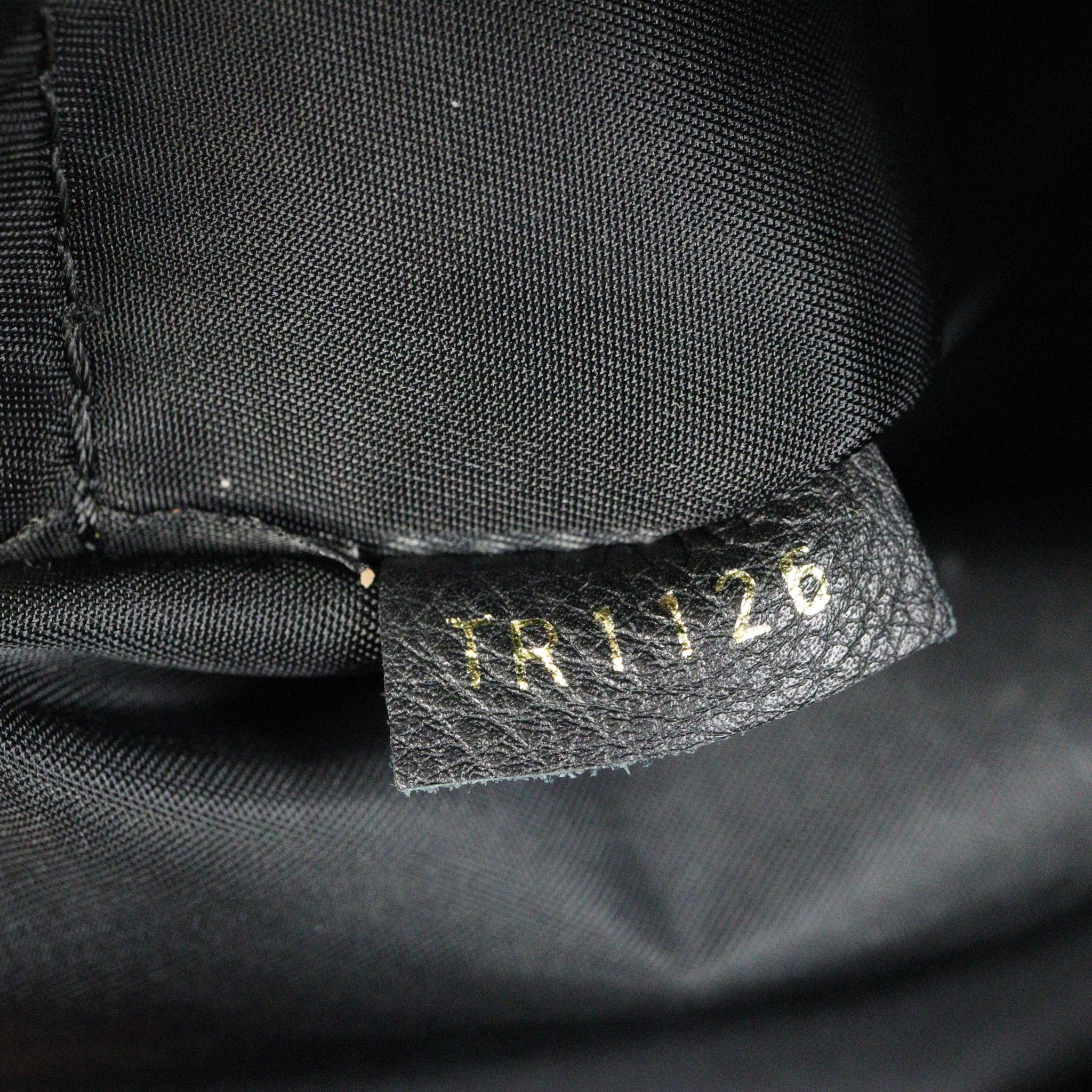 Louis Vuitton Palm Springs Backpack PM Monogram