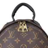 Louis Vuitton Palm Springs Backpack PM Monogram