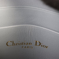 Dior Caro Zip Pouch on Chain