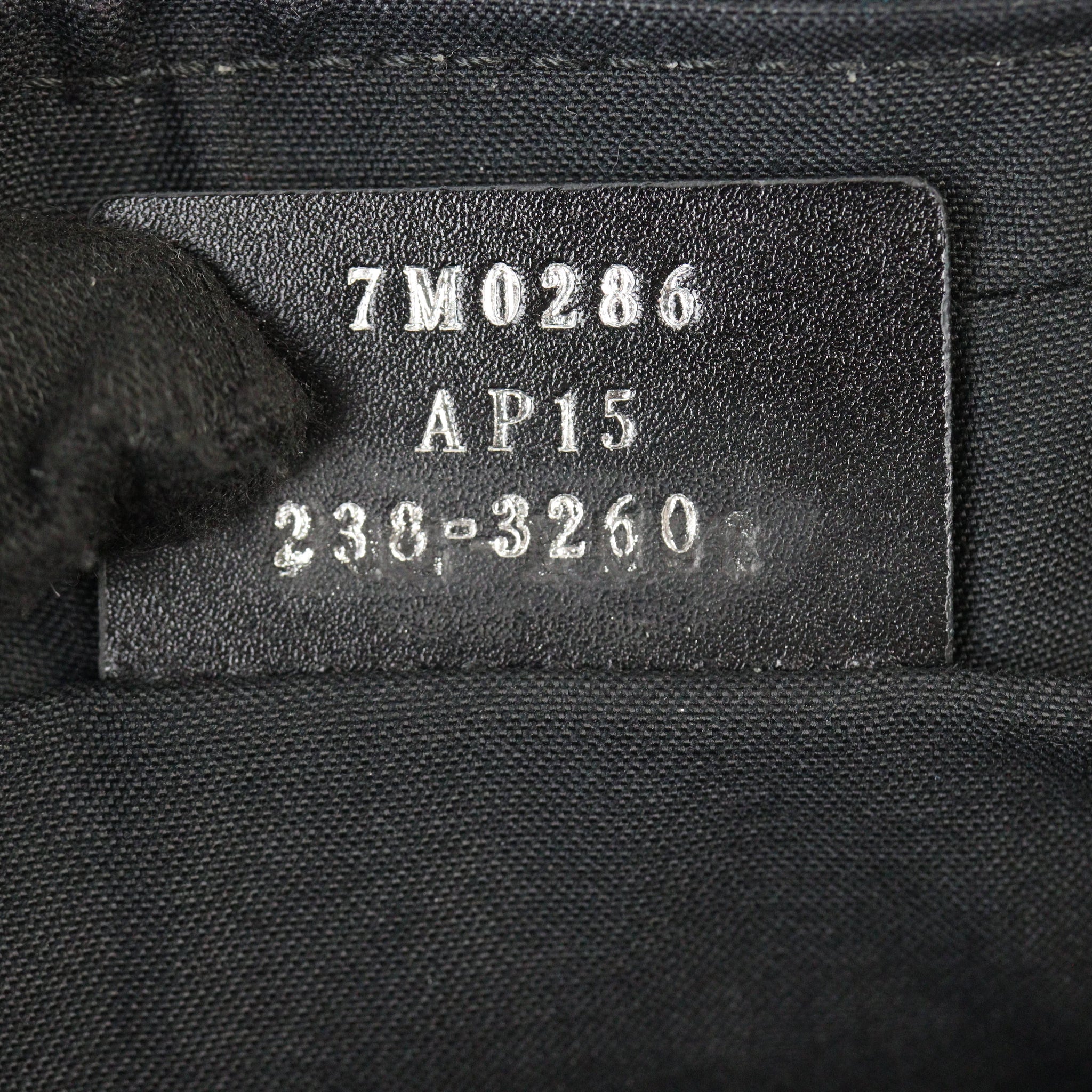 Fendi Roma FF Camera Bag