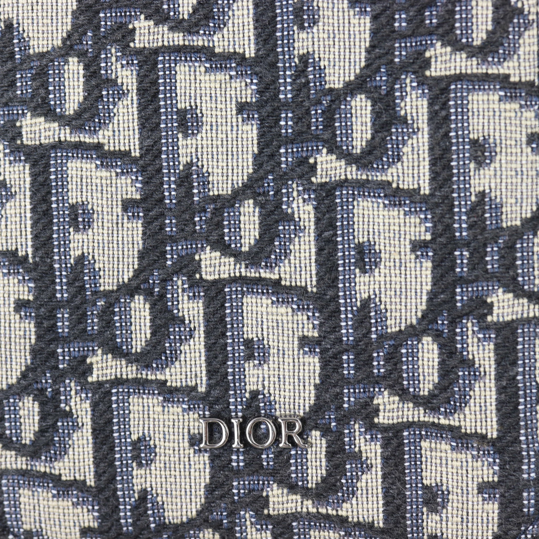 Dior Phone Pouch Oblique