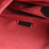 Louis Vuitton Favorite MM Damier Ebene