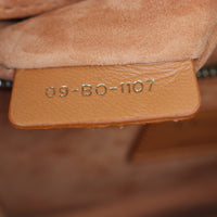 Dior Dioraddict Small Flap Bag Studded