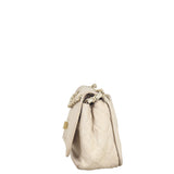 Chanel Natural Beauty Reissue Flap Bag