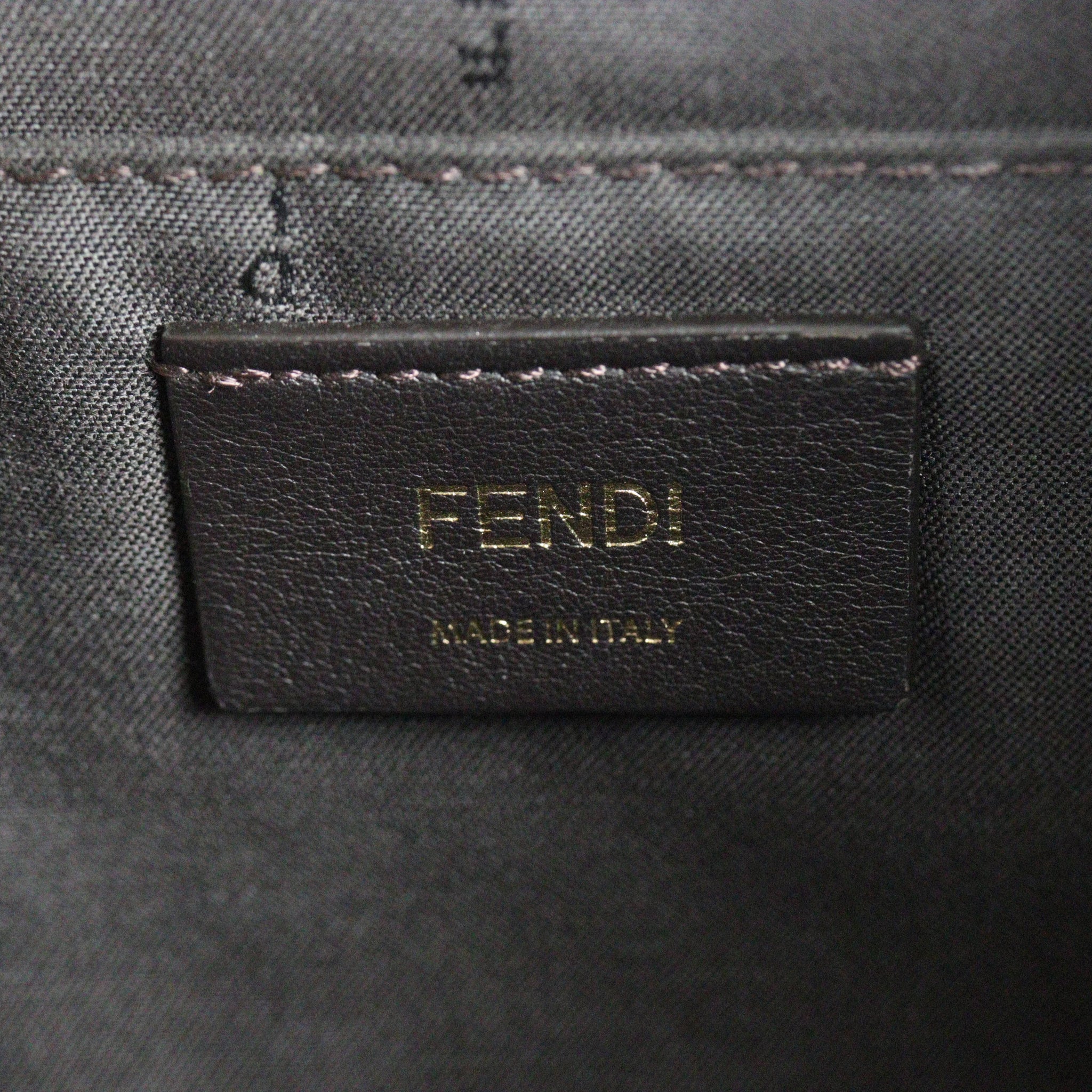 Fendi FF 1974 Camera Bag