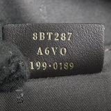 Fendi FF 1974 Camera Bag