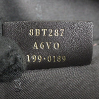 Fendi FF 1974 Camera Bag