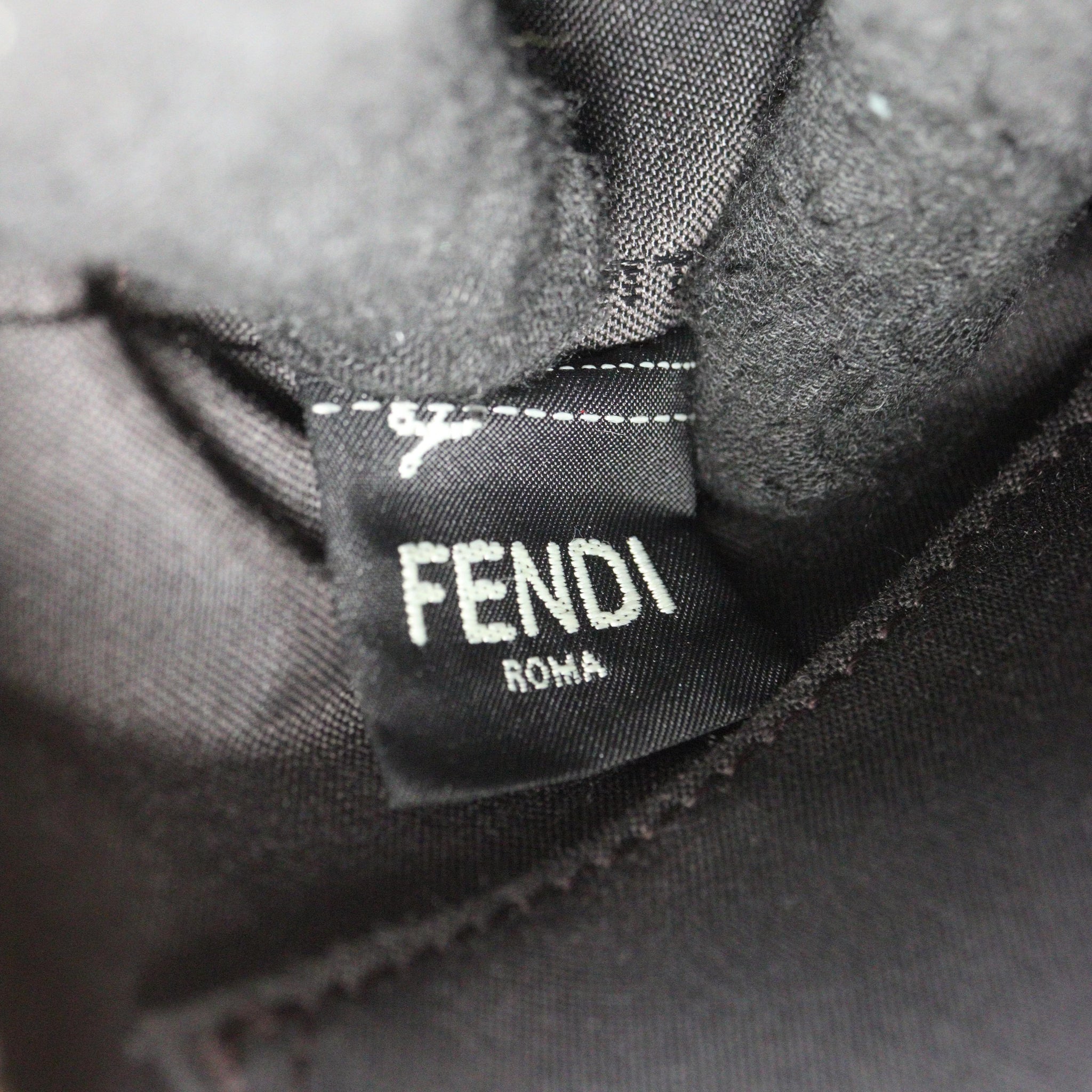 Fendi FF 1974 Camera Bag