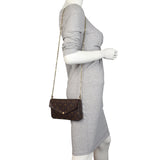 Louis Vuitton Pochette Felicie Monogram