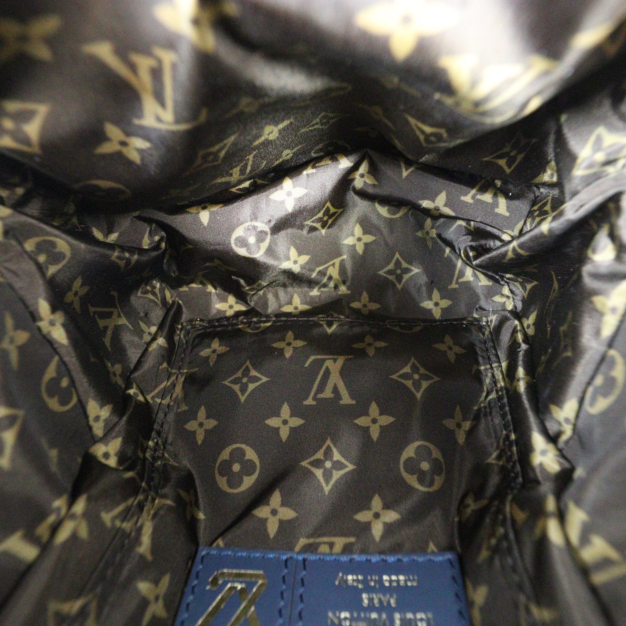 Louis Vuitton Palm Springs Mini Backpack Monogram Econyl Pillow