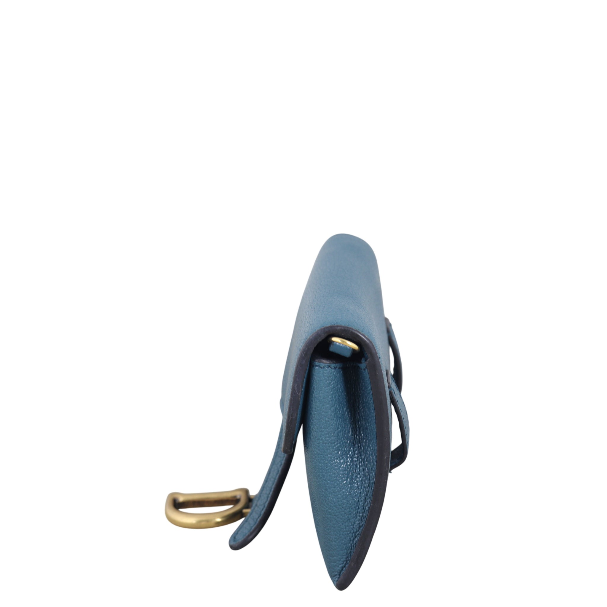 Dior Saddle Pouch Nano