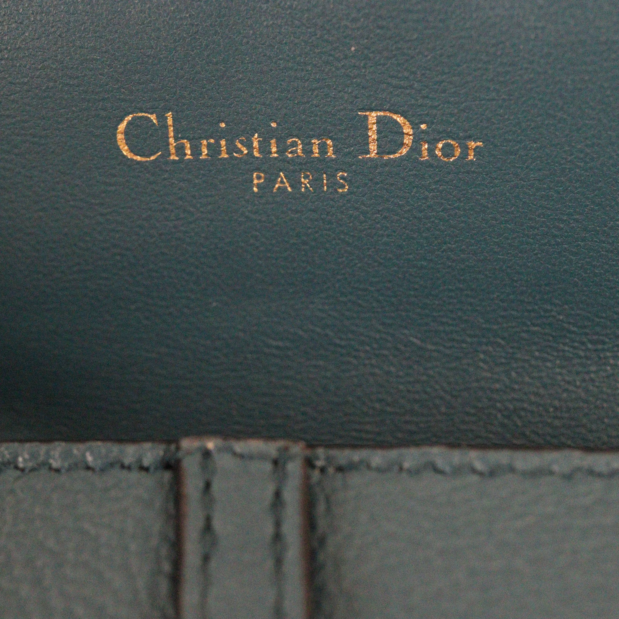 Dior Saddle Pouch Nano
