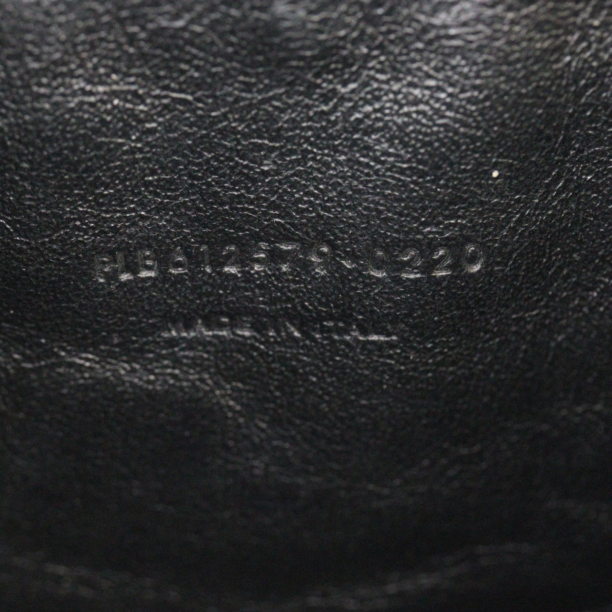 Saint Laurent Lou Mini Camera Bag