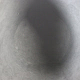 Louis Vuitton Cannes Monogram Reverse