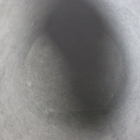 Louis Vuitton Cannes Monogram Reverse