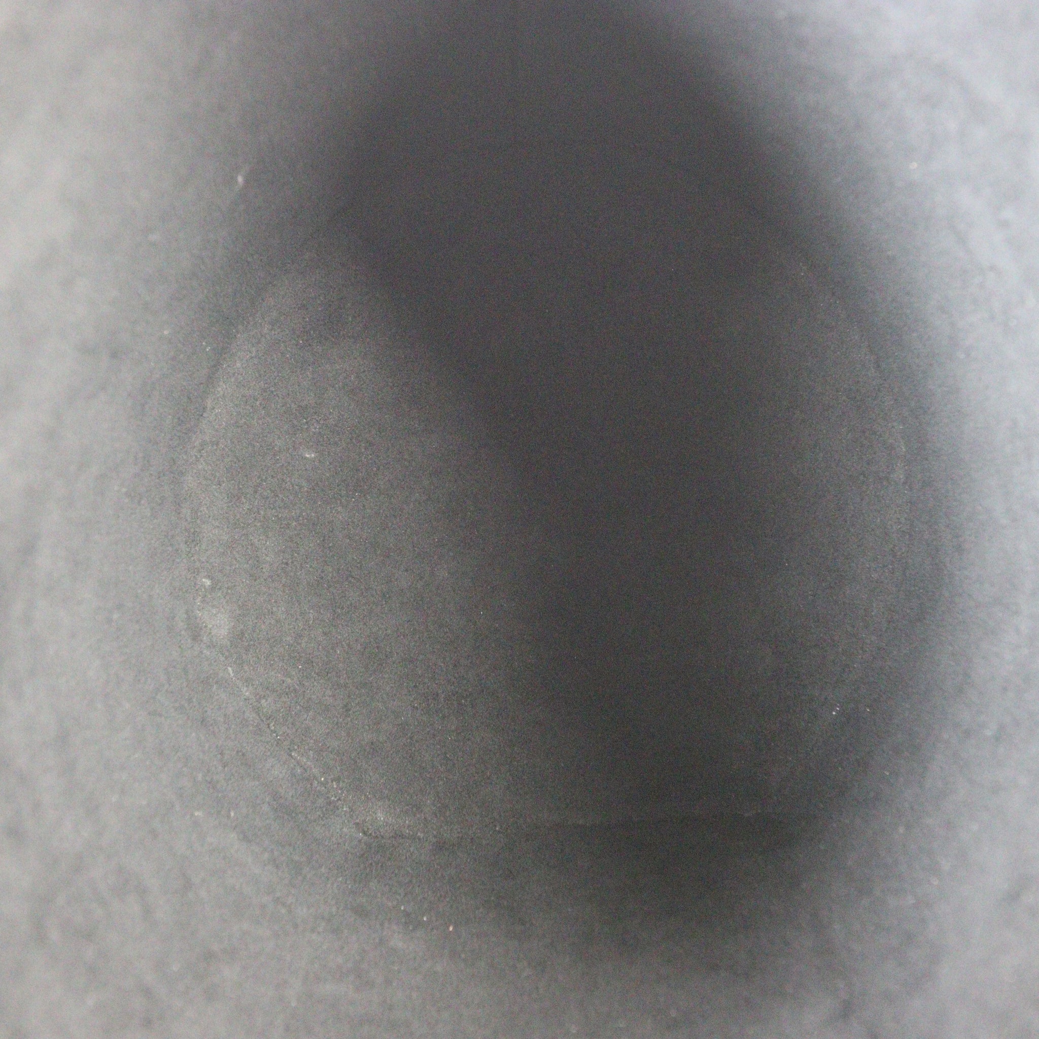 Louis Vuitton Cannes Monogram Reverse