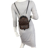 Louis Vuitton Palm Springs Mini Backpack Monogram
