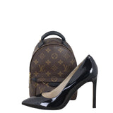 Louis Vuitton Palm Springs Mini Backpack Monogram