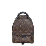 Louis Vuitton Palm Springs Mini Backpack Monogram