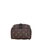 Louis Vuitton Palm Springs Mini Backpack Monogram