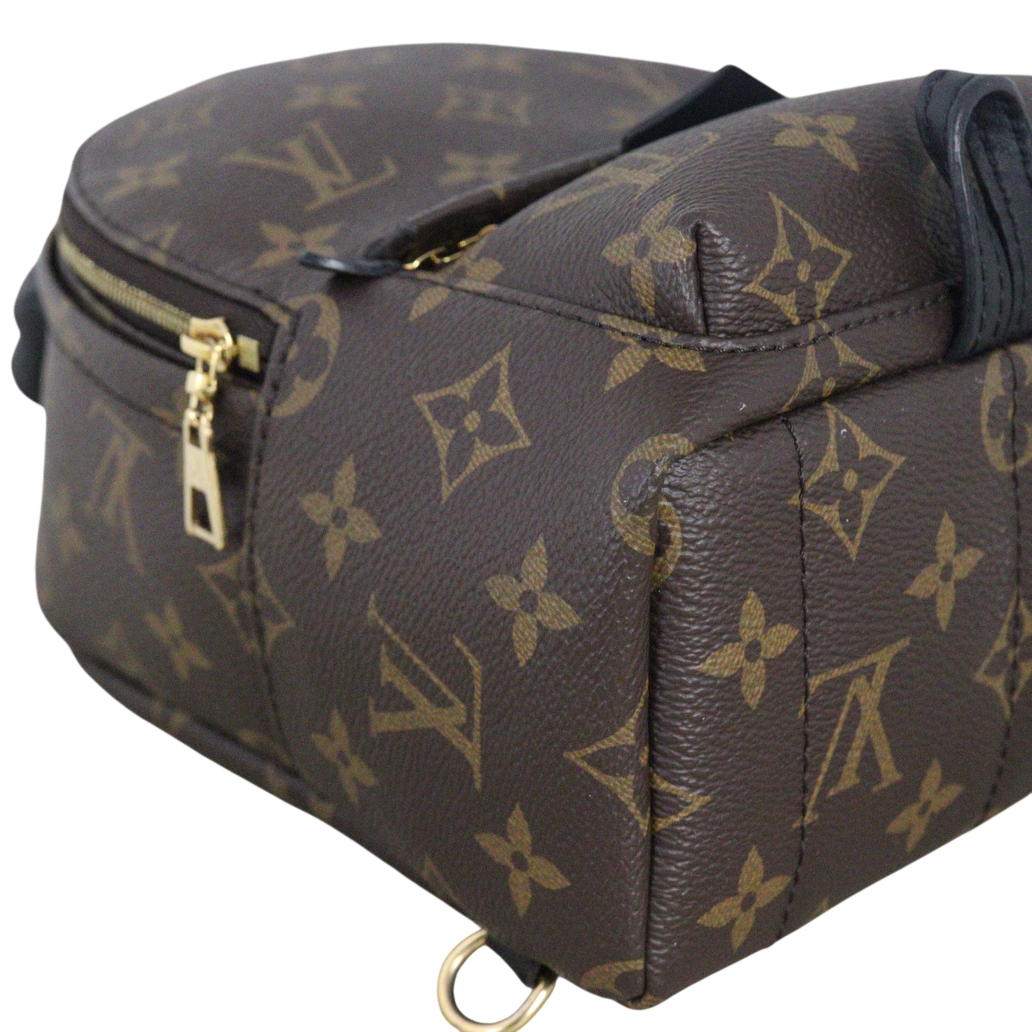 Louis Vuitton Palm Springs Mini Backpack Monogram