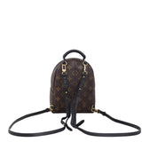 Louis Vuitton Palm Springs Mini Backpack Monogram
