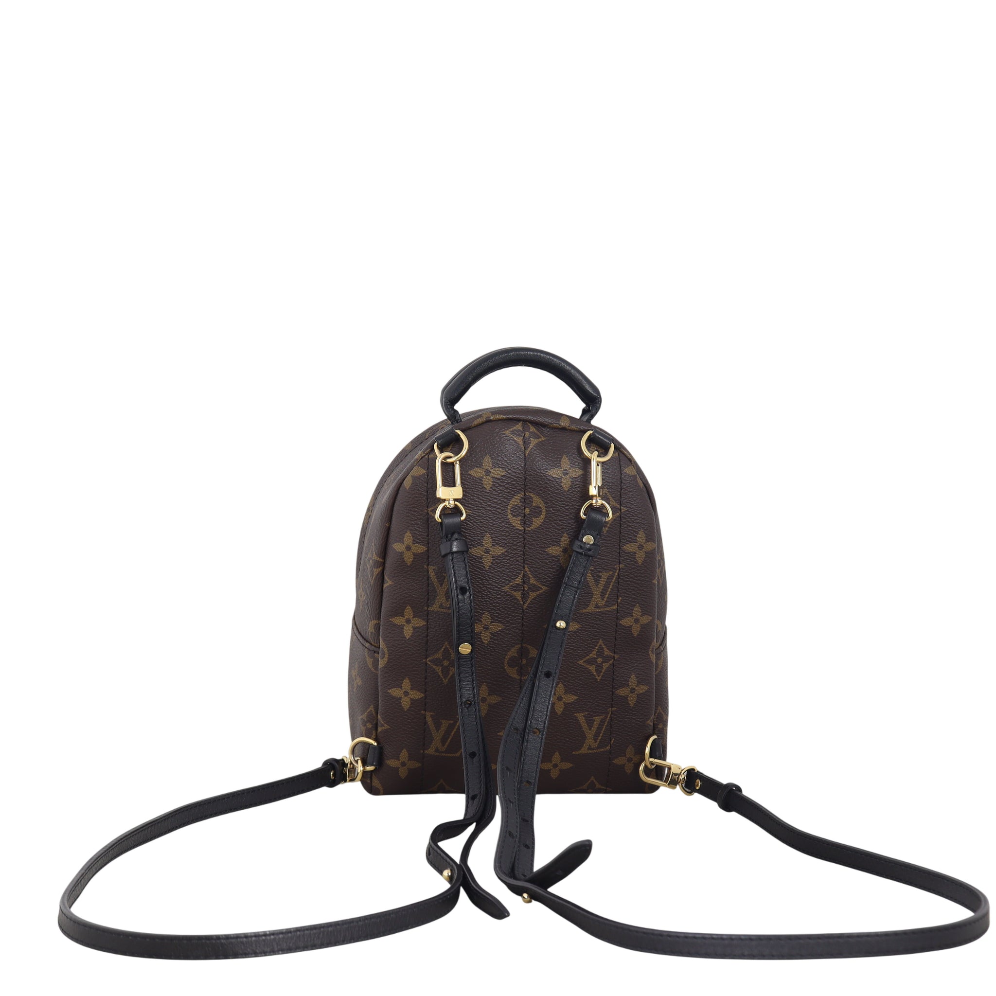 Louis Vuitton Palm Springs Mini Backpack Monogram