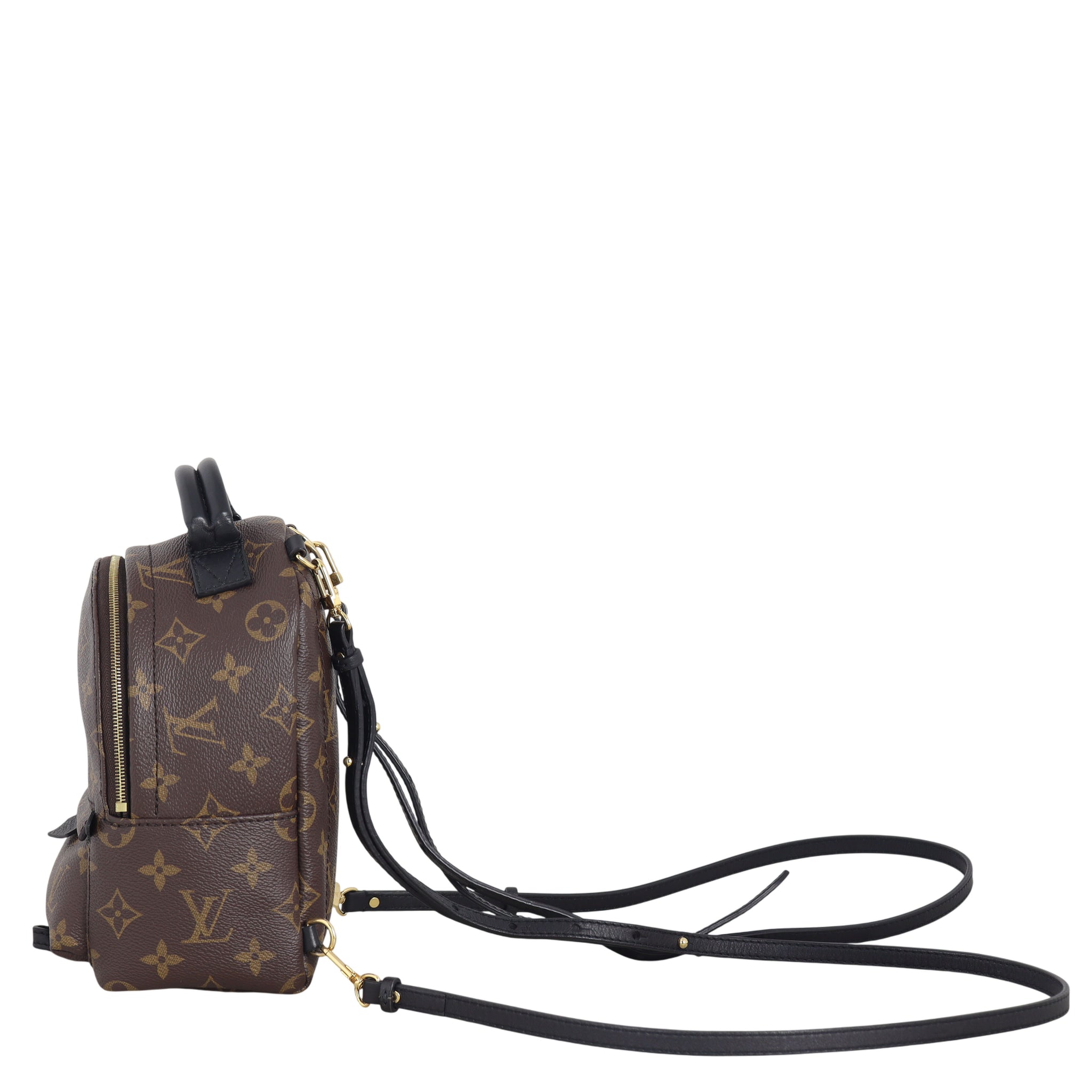 Louis Vuitton Palm Springs Mini Backpack Monogram