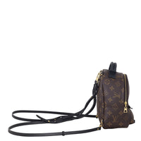 Louis Vuitton Palm Springs Mini Backpack Monogram