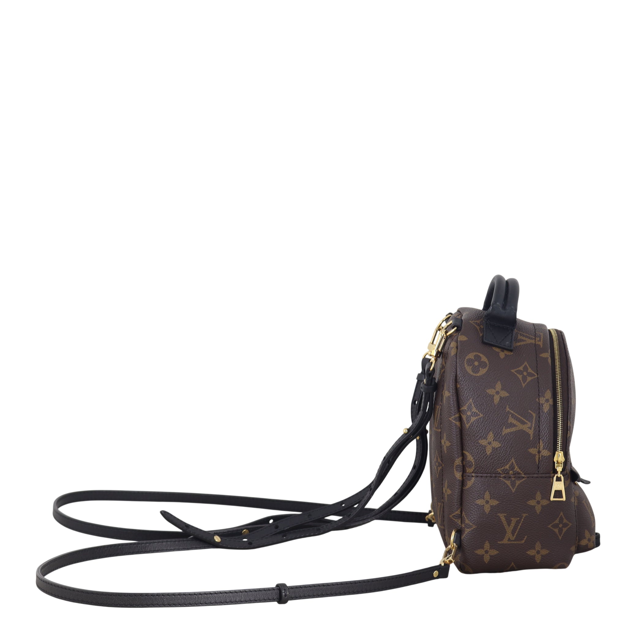 Louis Vuitton Palm Springs Mini Backpack Monogram