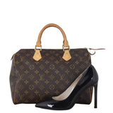Louis Vuitton Speedy 30 Monogram