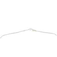 Tiffany & Co. Fleur De Lis Key Bar Platinum Necklace