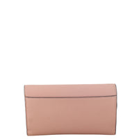 Dior Saddle Pouch Wallet on Chain