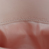 Dior Saddle Pouch Wallet on Chain