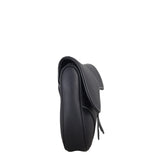 Dior Saddle Crossbody Bag
