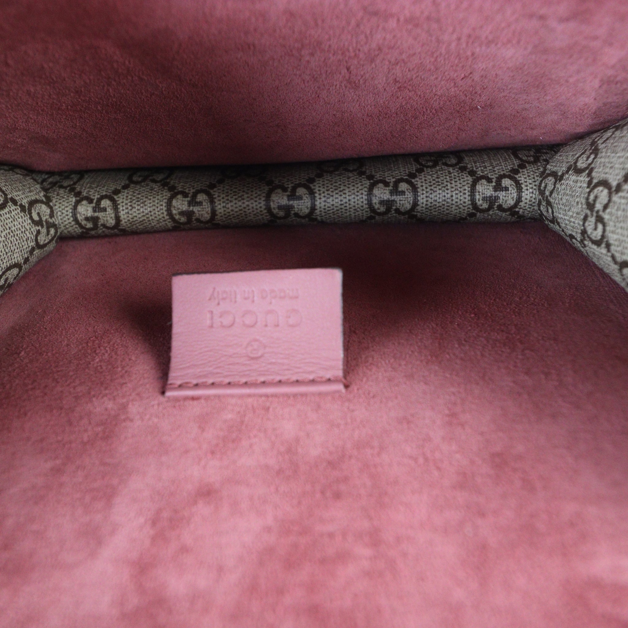 Gucci Dionysus GG Blooms Mini Bag