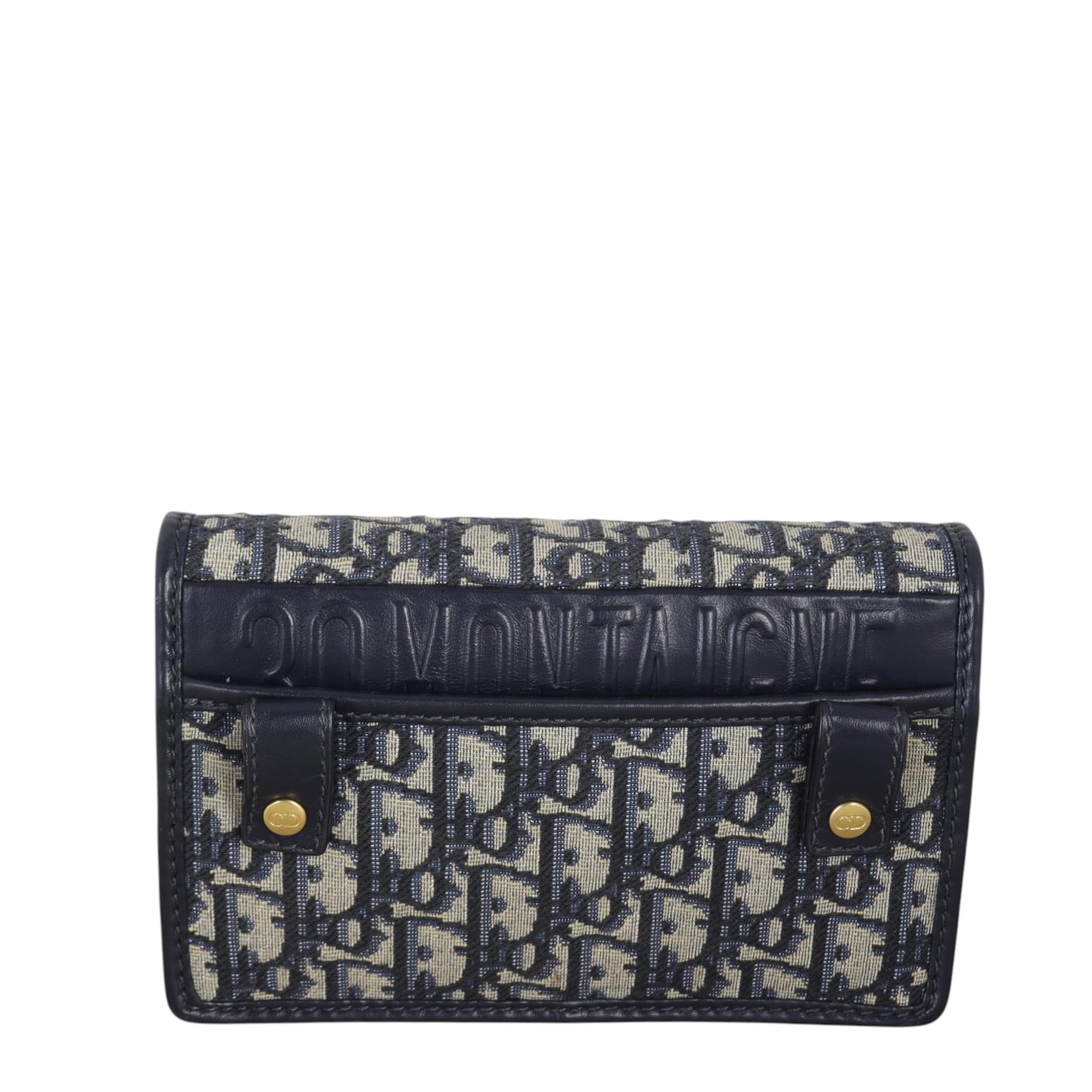 Dior 2-in-1 30 Montaigne Pouch Oblique
