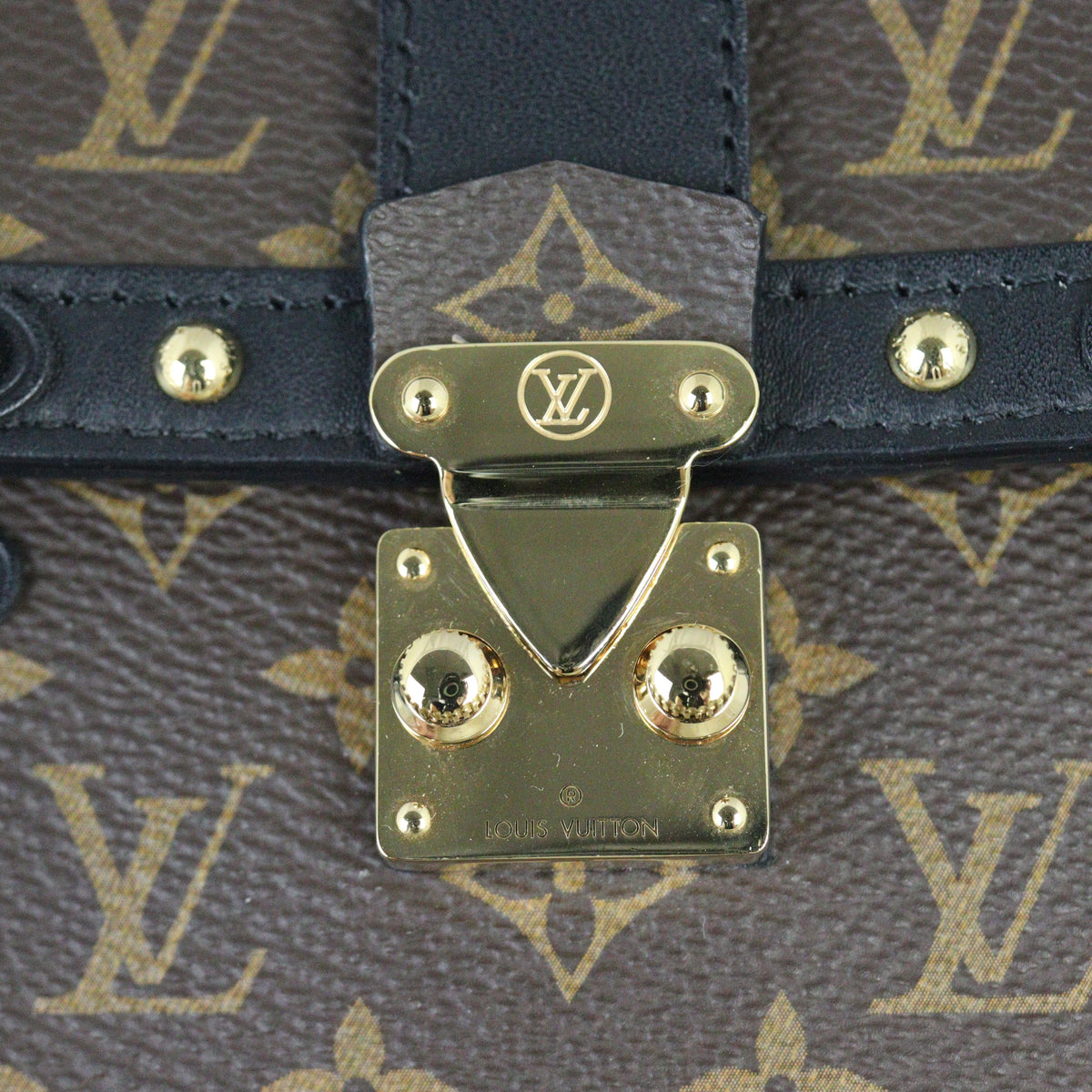 Louis Vuitton Vertical Trunk Pochette Monogram