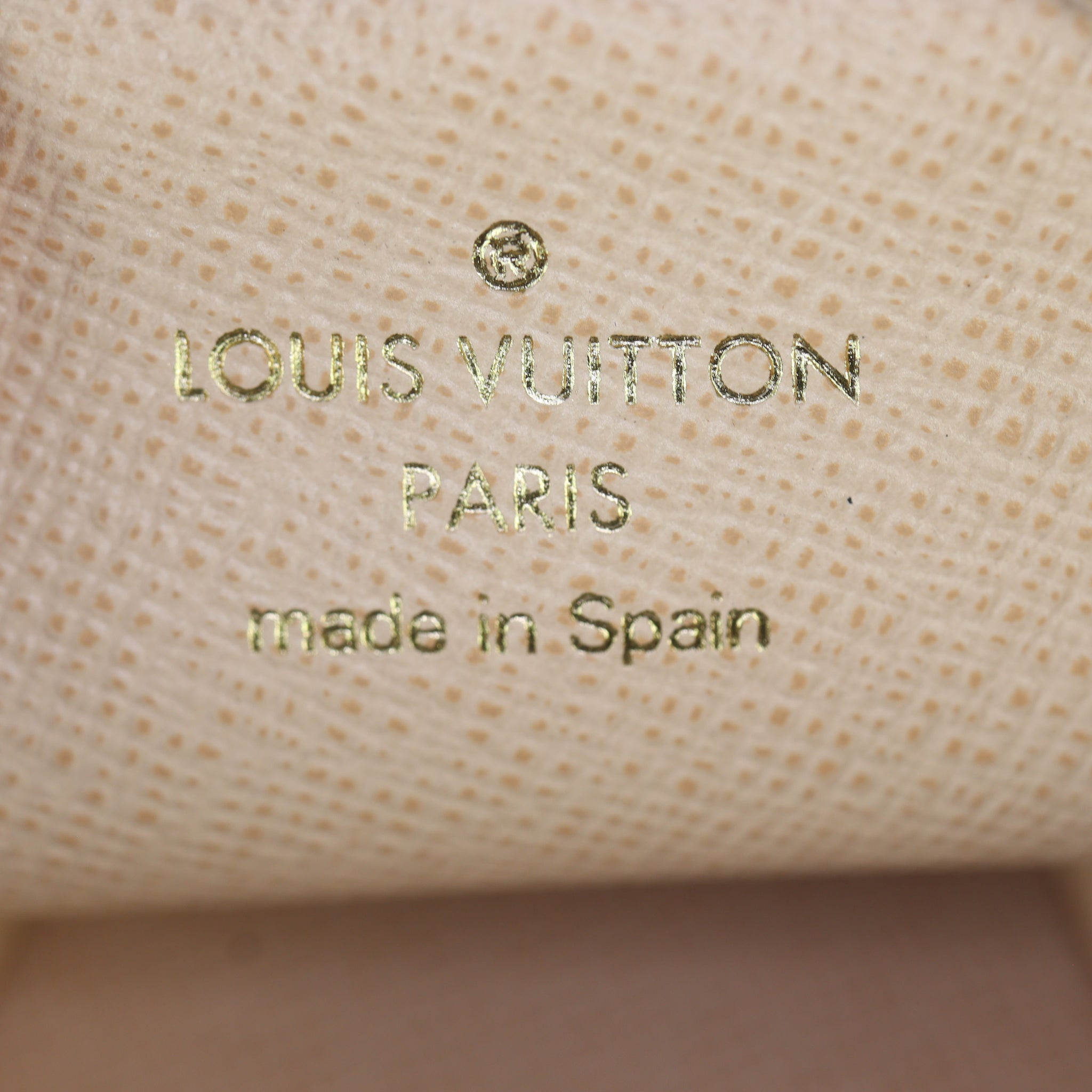 Louis Vuitton Multi Pochette Accessoires Monogram