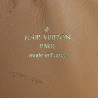 Louis Vuitton Dora Tote PM Canvas