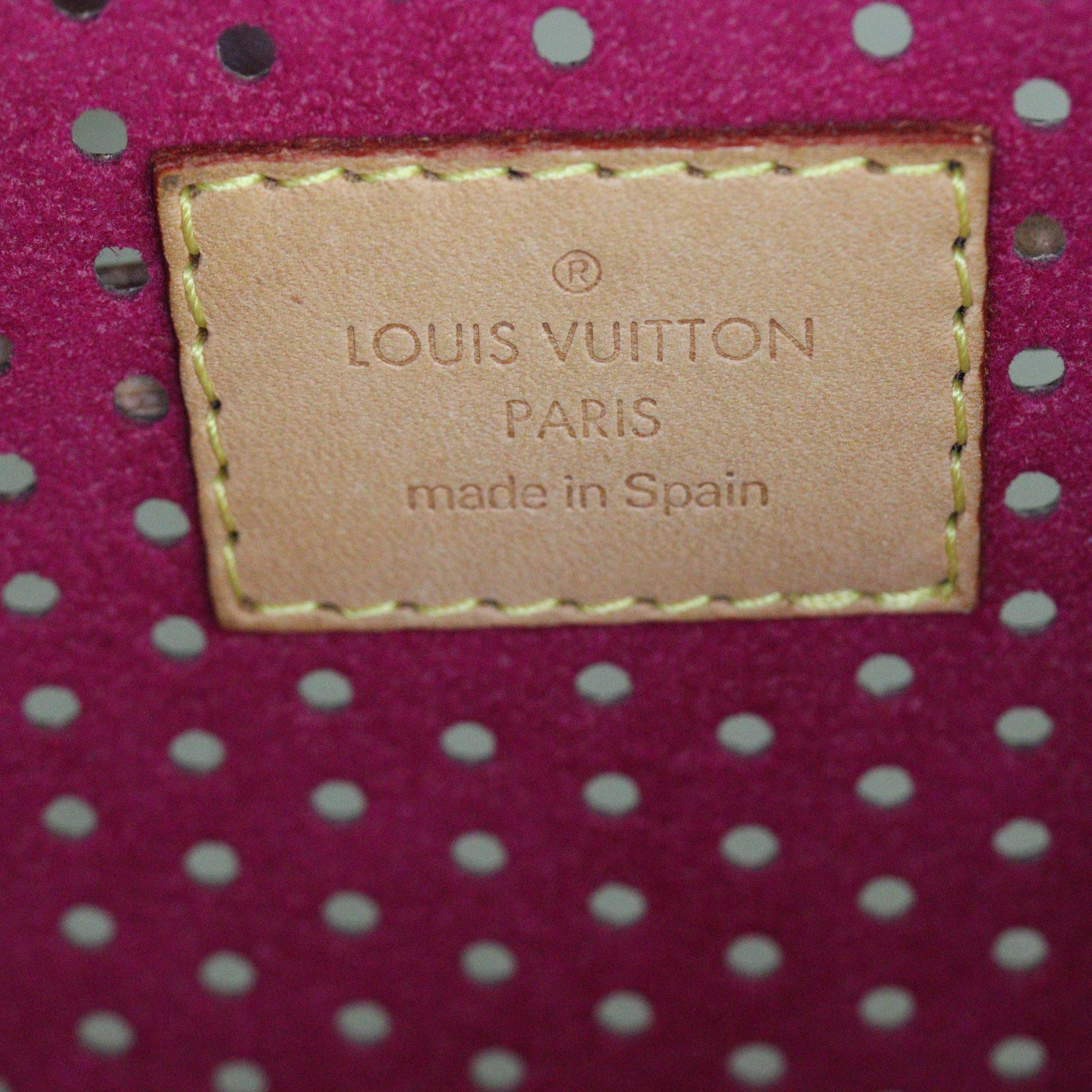 Louis Vuitton Pochette Accessoires Monogram Perforated