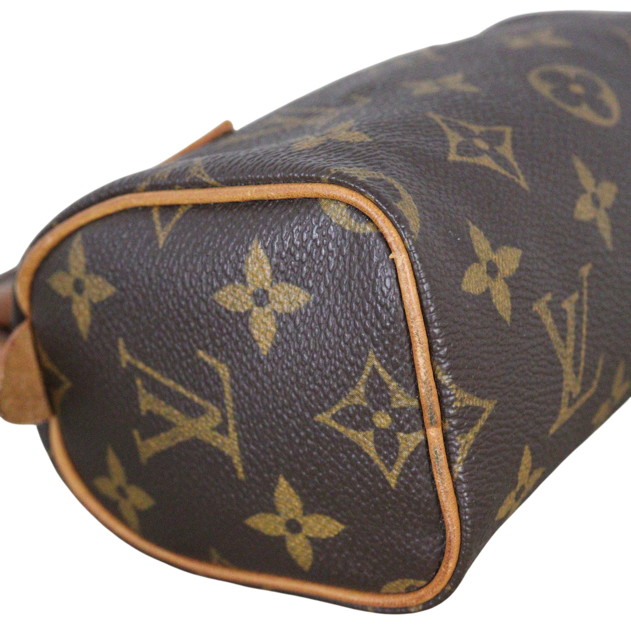 Louis Vuitton Nano Speedy Monogram