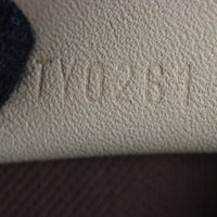 Louis Vuitton Nano Speedy Monogram