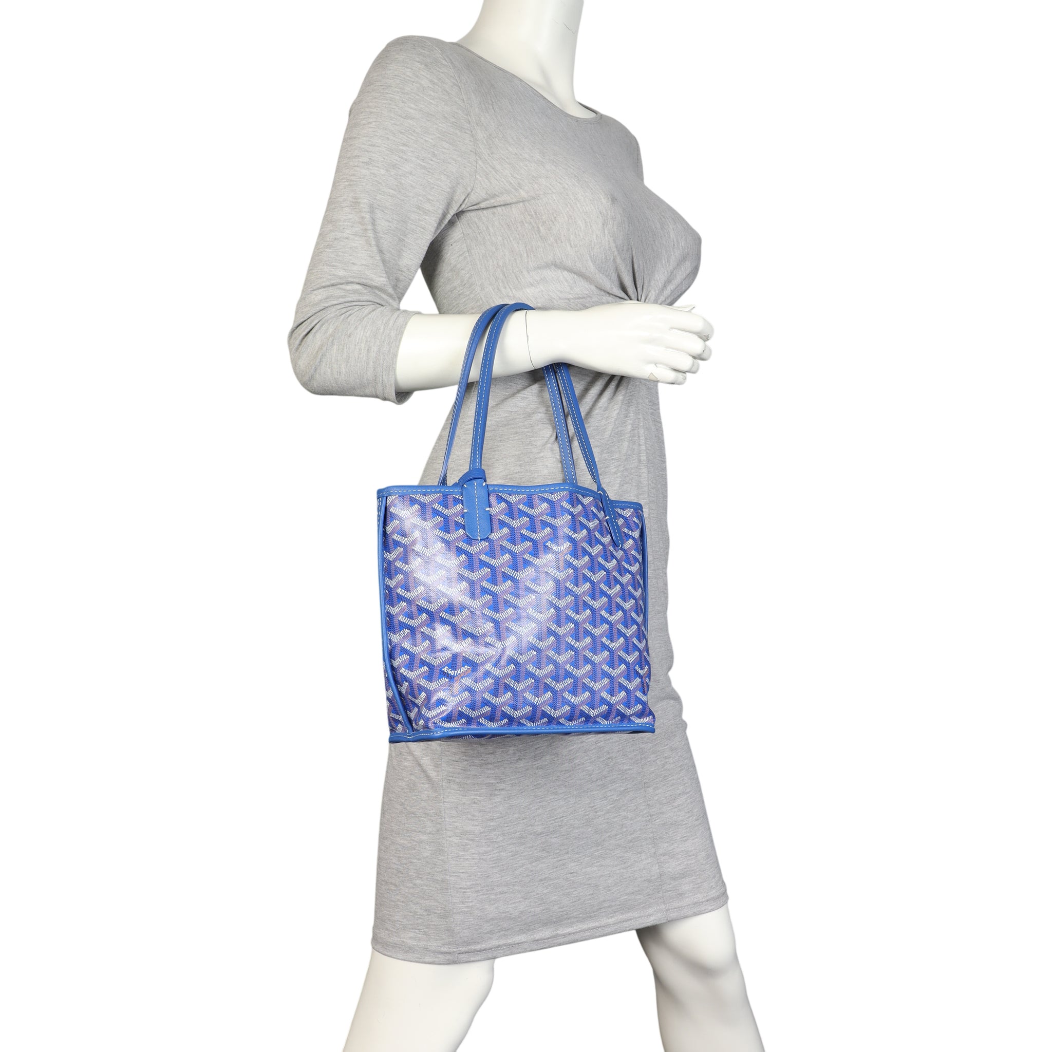 Goyard Anjou Mini Bag