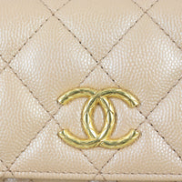 Chanel CC Buckle Clutch with Chain